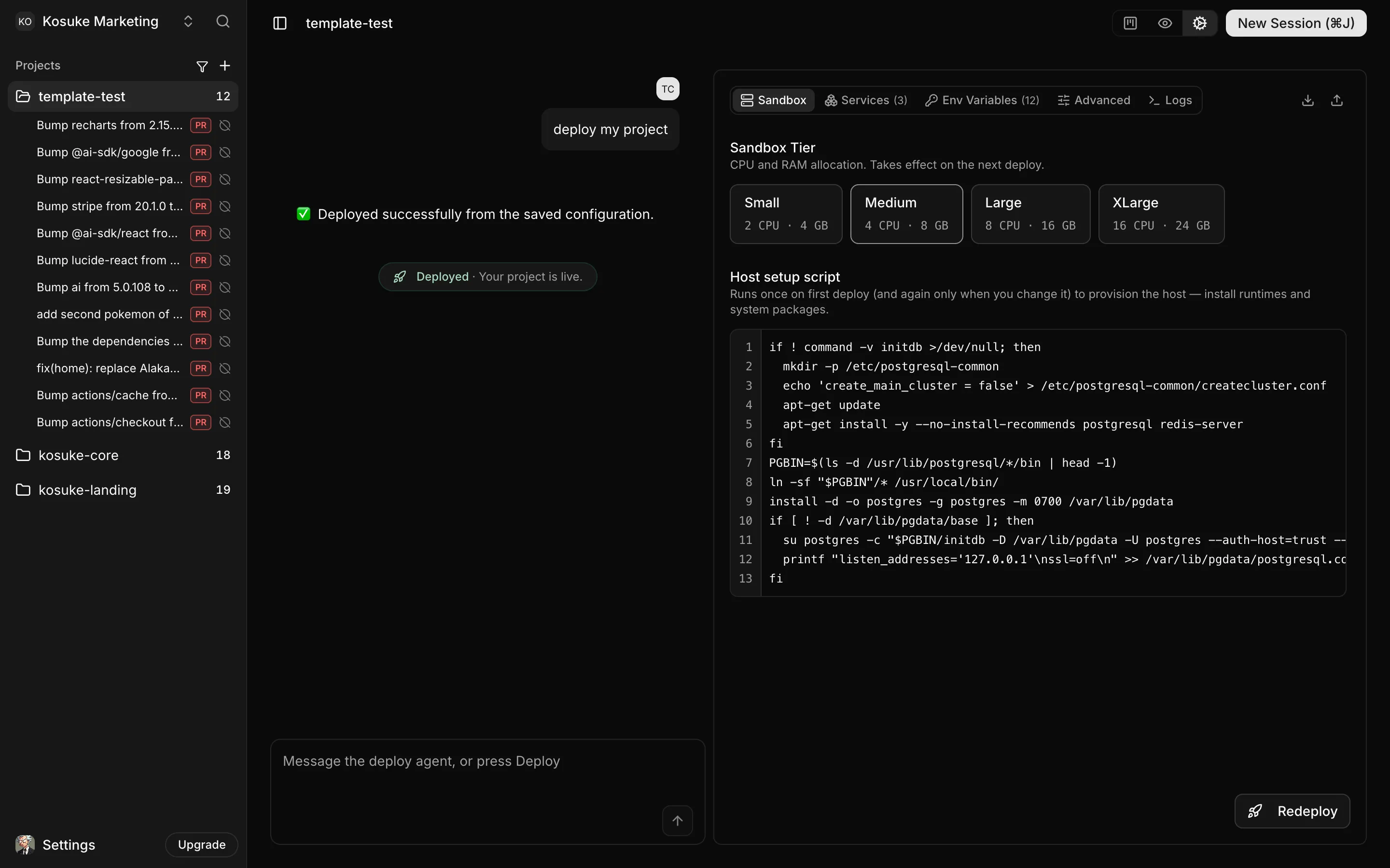 The project settings view. On the left, the deploy conversation: the message "deploy my project", the reply "Deployed successfully from the saved configuration", and a status chip reading Deployed, your project is live. On the right, tabs for Sandbox, Services (3), Env Variables (12), Advanced and Logs. The Sandbox tab shows four tiers, Small 2 CPU 4 GB, Medium 4 CPU 8 GB (selected), Large 8 CPU 16 GB and XLarge 16 CPU 24 GB, above a host setup script that installs PostgreSQL and Redis and initializes a database cluster.